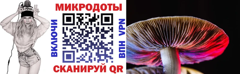 Галлюциногенные грибы Psilocybe  Переславль-Залесский 